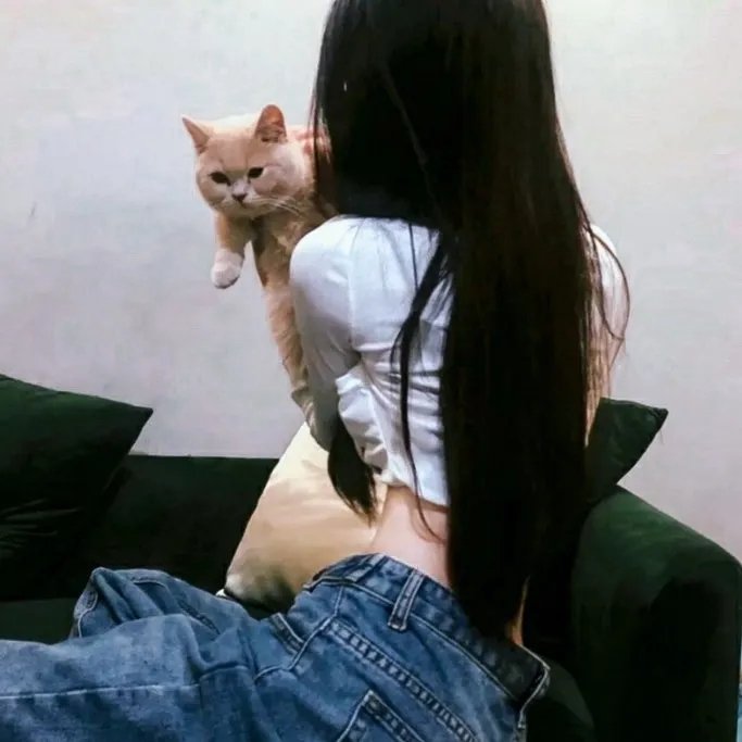乌菲的一生